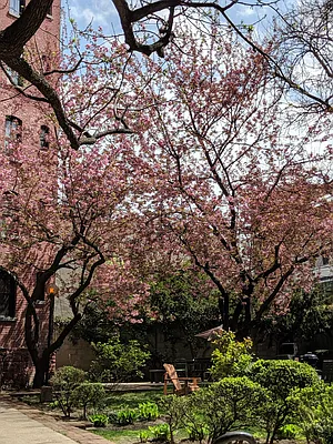 Rented by Compass | media 10