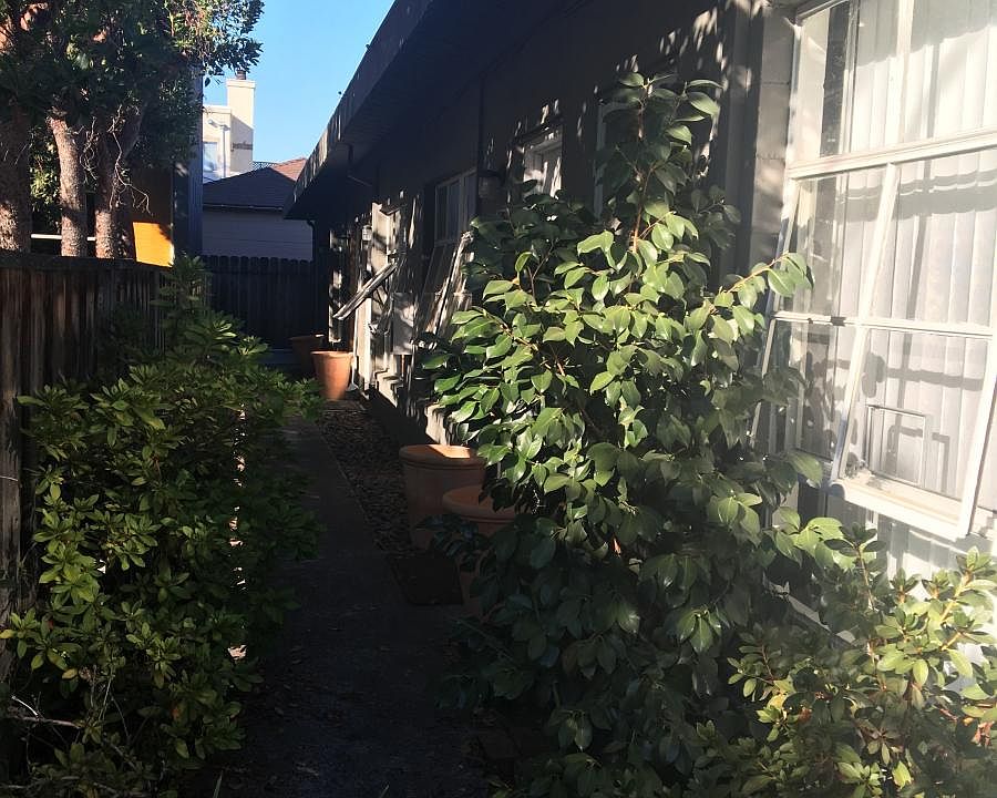 1st image of 2255 Yale St