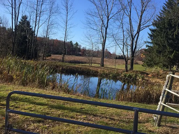 35 Hoadleys Rd, Hawley, PA 18428