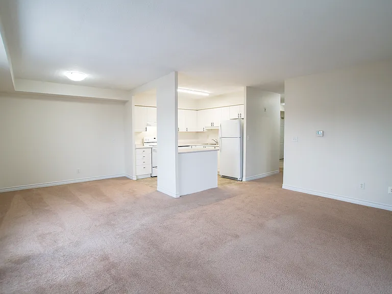 237 Auburn Dr — Photo 12