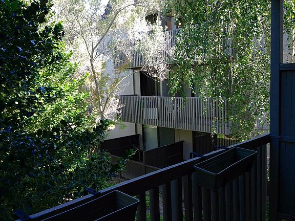 3rd image of 8232 Shelter Creek Ln