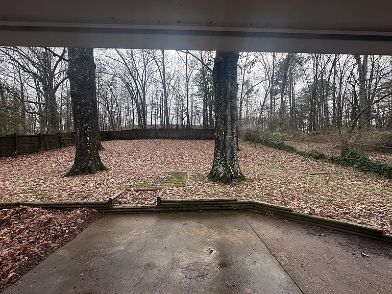 Back Yard view from french doors