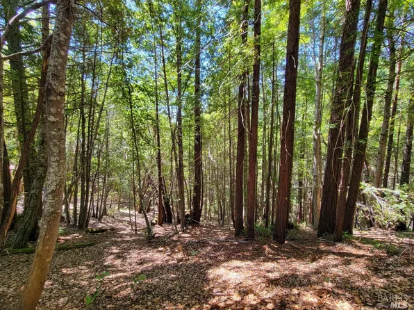 0 Clover Drive, Willits, CA 95490