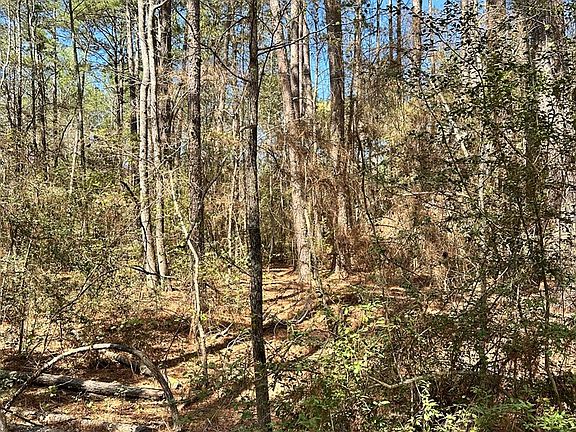 5th image of An County Rd #1204