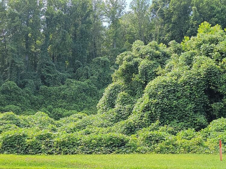 0 Riverside Dr Bassett VA Zillow