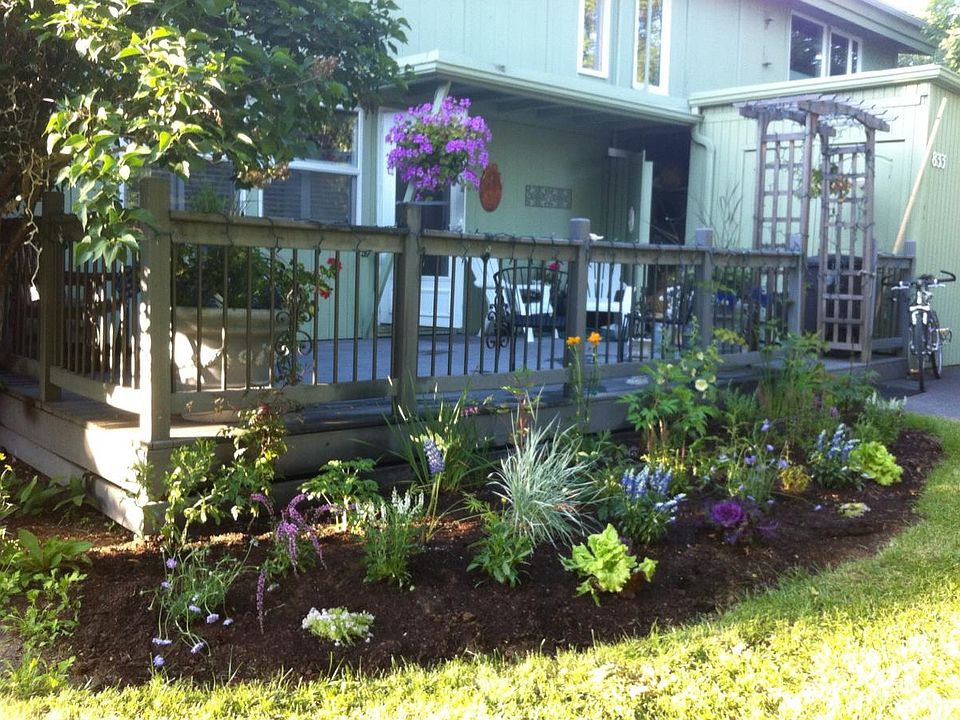 Summer Garden and Deck