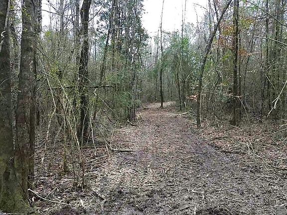 5th image of TRACT Two A La Hwy #1049