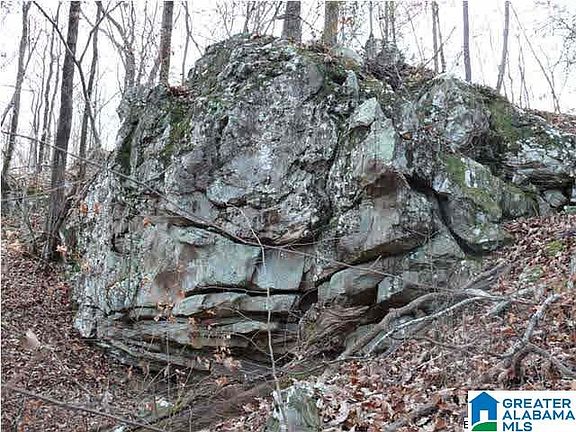 4th image of 5620 S Shades Crest Rd #1