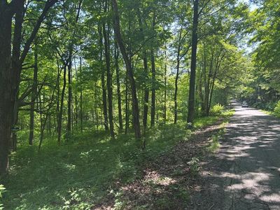 0 Nace Corner Rd, Latham, OH, 45646