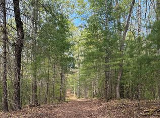 LOT 20 Big Ben Rd, Ellijay, GA 30540