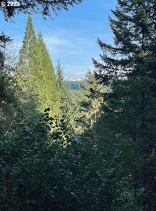 0 Mathews Rd #1, Washougal, WA, 98671