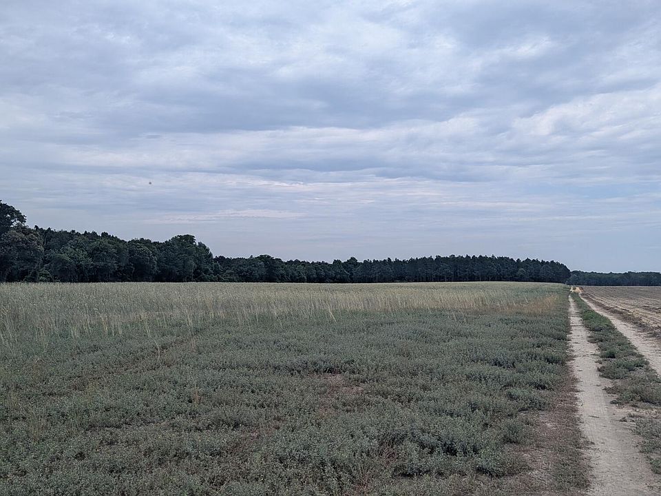 1st image of 3 5 Bridge Road