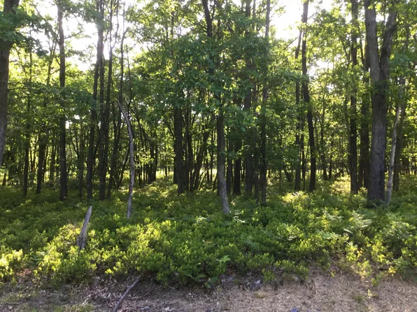 LOT NULL 107 Sweet Birch Dr, Hazleton, PA 18202