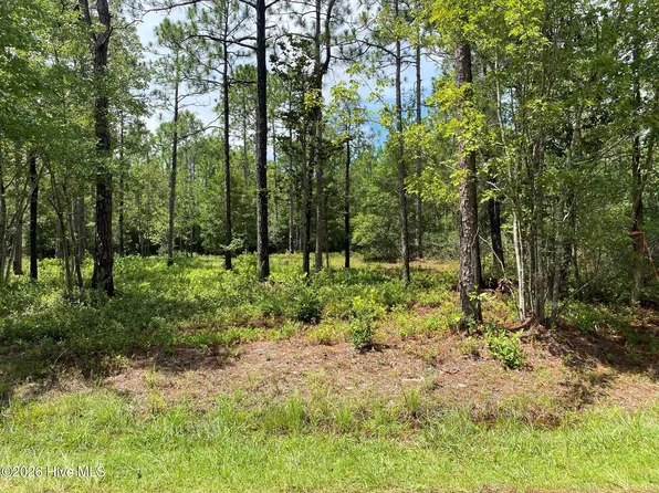 361 Ash Rd Lot 32&33, Boiling Spring Lakes, NC 28461