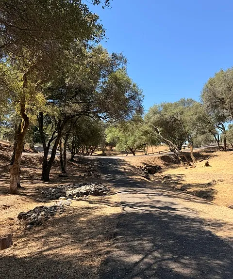 2330 Double O Mine Trl — Photo 57