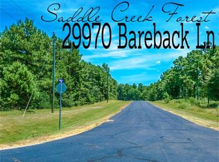 29970 Bareback Ln, Waller, TX 77484