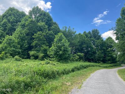 Highway 91, Shady Valley, TN, 37688