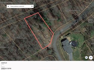 Iron Gate Dr, Baneberry, TN 37890