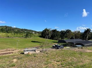 Pugnado Adentro, Morovis, PR 00687