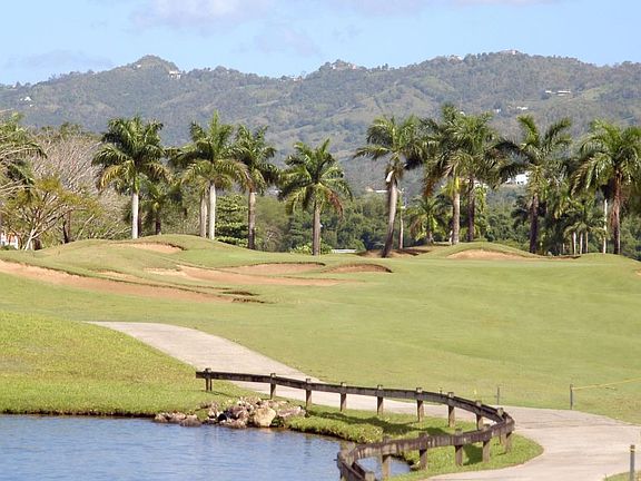 GOLF COURSE 3