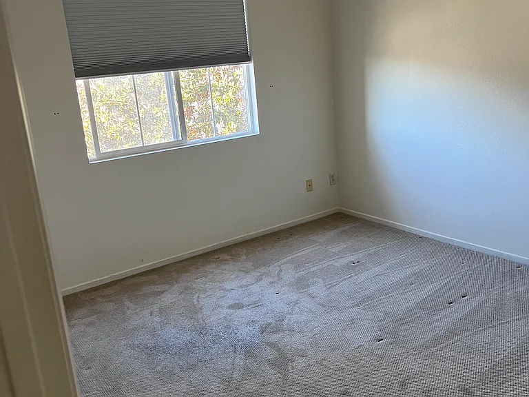 4026 Backshore Ct — Photo 15