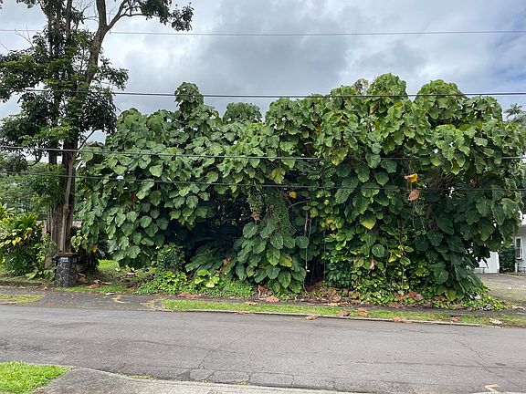 2nd image of 314 Lehua St Lot 12