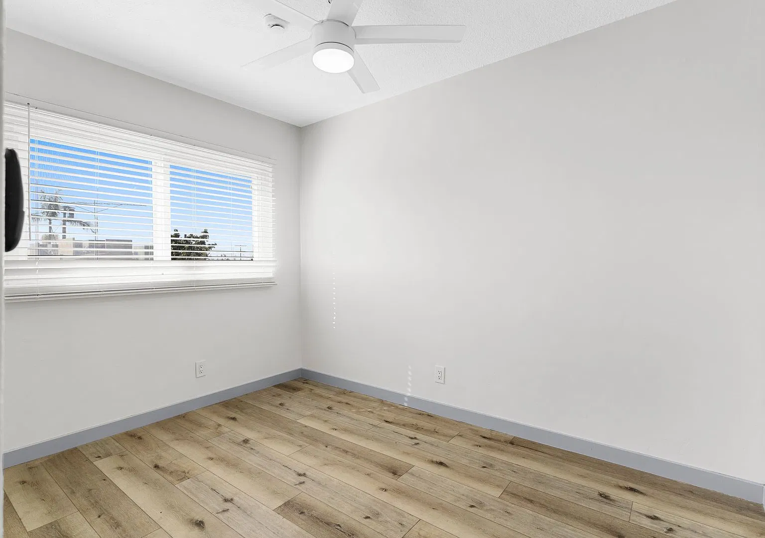 112 E Buckthorn Street — Photo 3