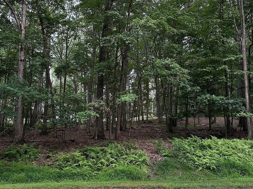 1st image of 22 Cove Point Cir