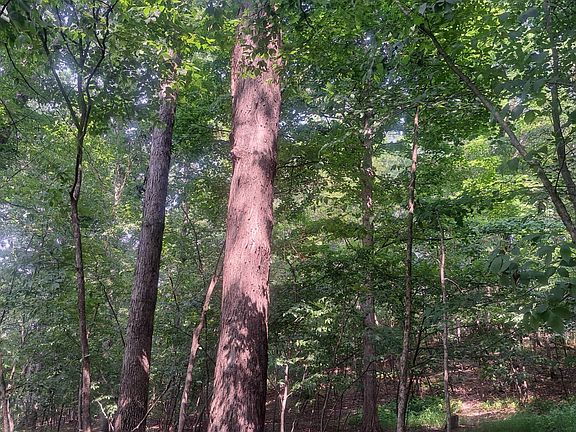 4th image of 0 Turkey Valley Rd