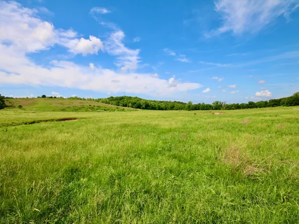 000 Farm Road Swpp98, Southwest City, MO 64863