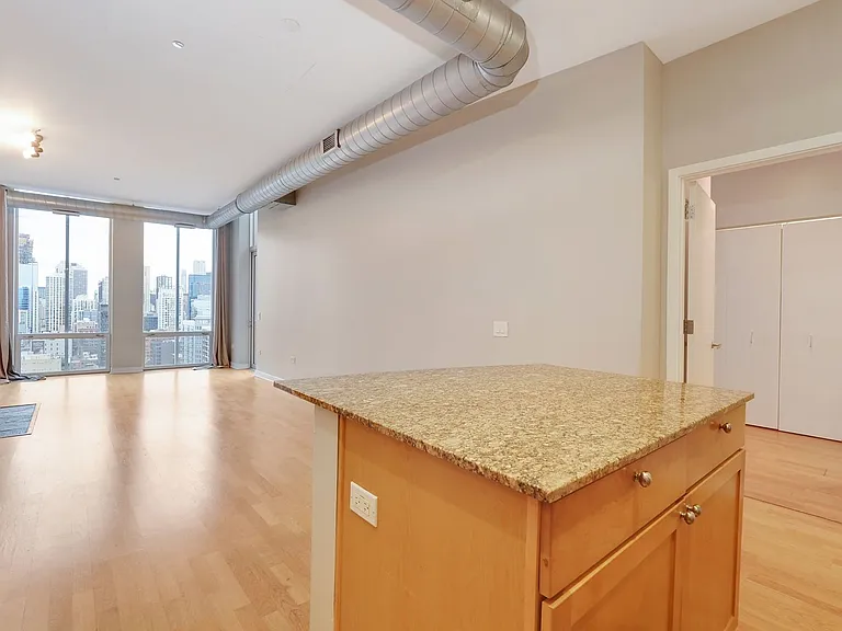 720 N Larrabee St #1706 — Photo 7