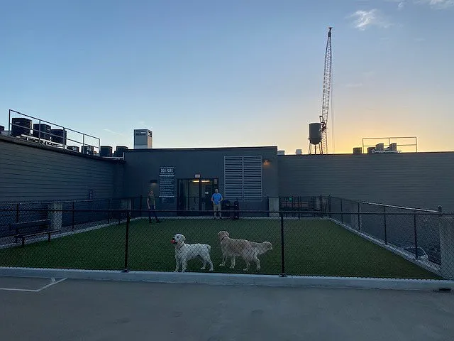 Direct Access Rooftop Dog Run