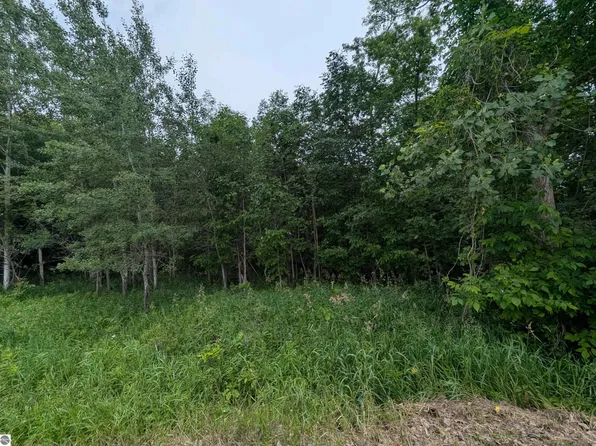 N A Shenfield Rd, Turner, MI 48765