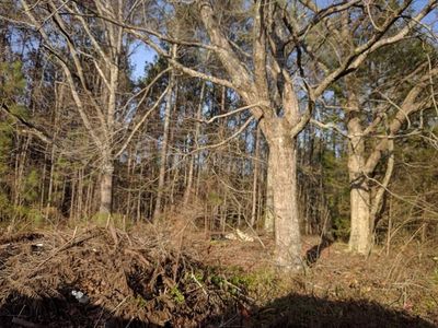 266 Wyatt Rd, Bowdon, GA, 30108