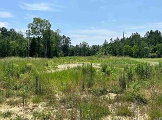 12738 Buddy Ellis Rd, Denham Springs, LA 70726