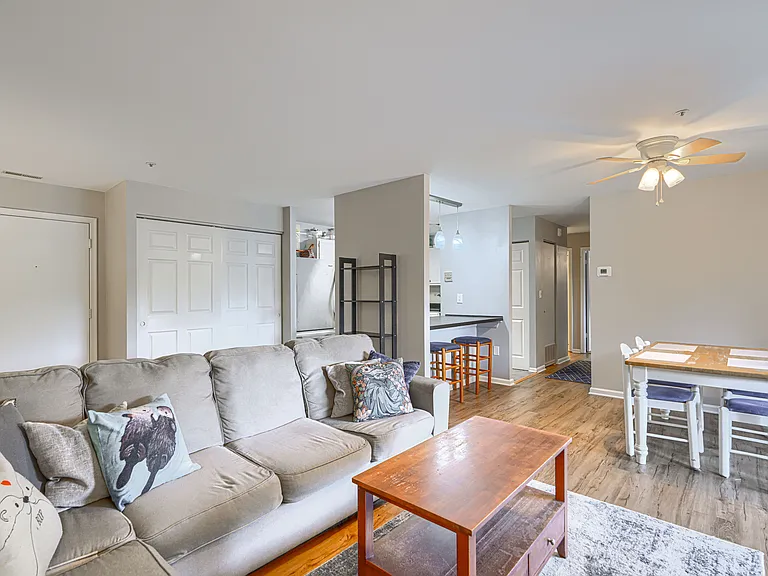 Living room/ dining room combo