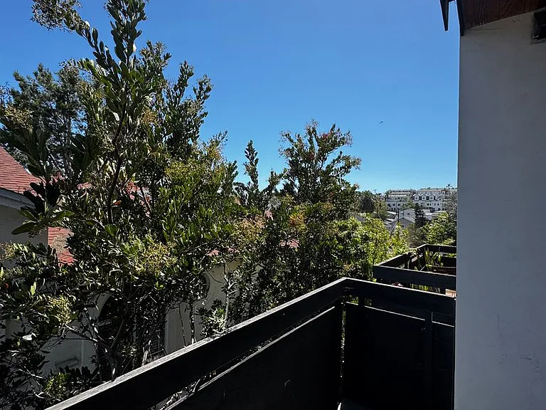 3684 Alabama St — Photo 21