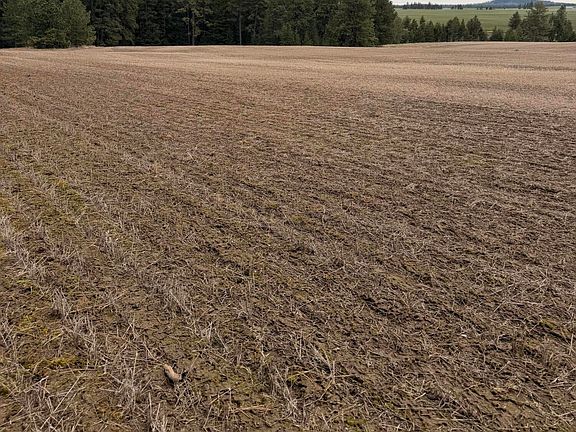 5th image of Sandhill Rd