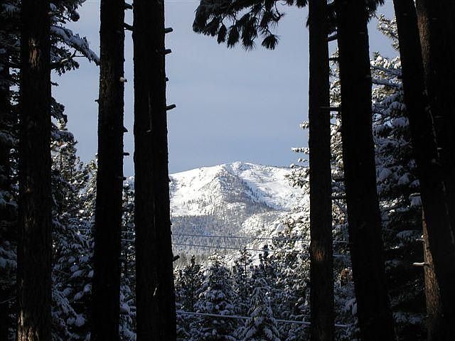 view from back yard/deck