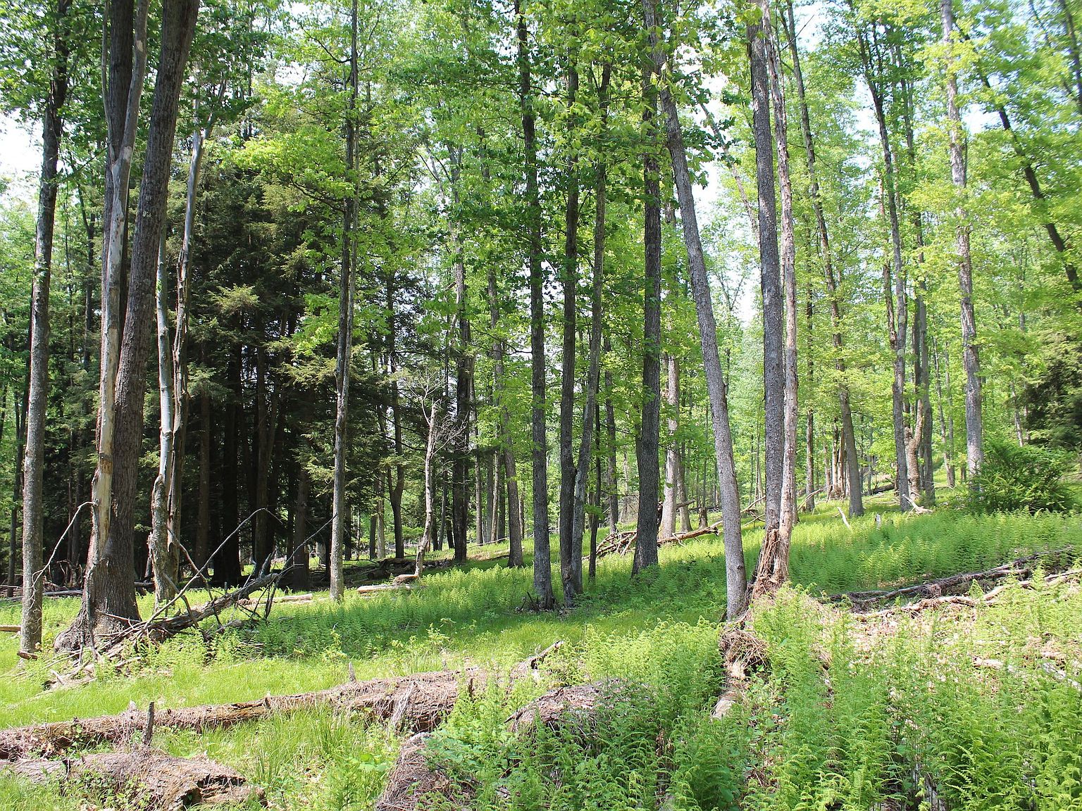 Bryson Ln LOT WP0001, Karthaus, PA 16845 Zillow