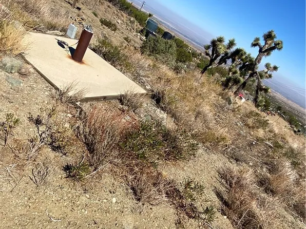 11890 Juniper Hills Rd #16, Littlerock, CA 93543