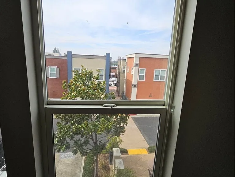316 Orange Blossom — Photo 19