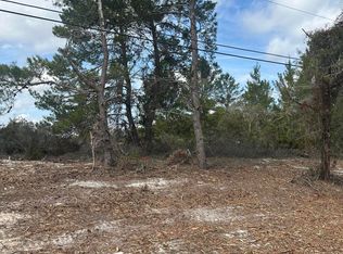 0 PETTIT Road, Crescent City, FL 32112