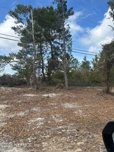0 PETTIT Road, Crescent City, FL, 32112