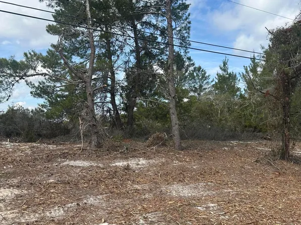 0 PETTIT Road, Crescent City, FL 32112