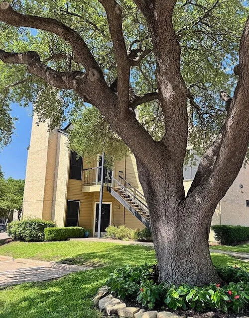 Building Photo 5
