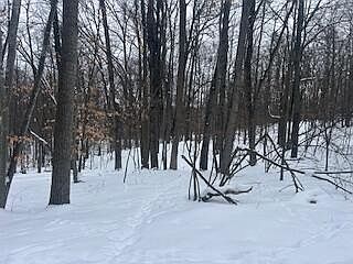 1st image of 9980 Red Deer Ct #577