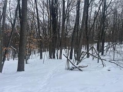 9980 Red Deer Ct #577, Stanwood, MI, 49346