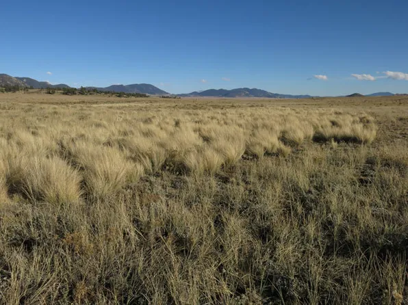 1162 N Margaret Pl, Hartsel, CO 80449