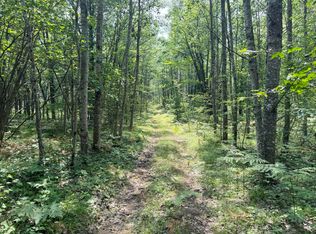 5313 W Miller Rd, Lewiston, MI 49756